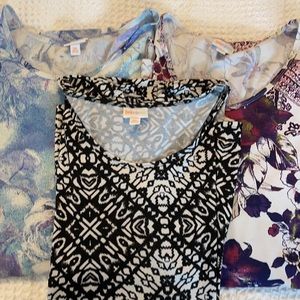 LulaRoe Perfect Tee’s